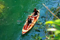 Xenotes